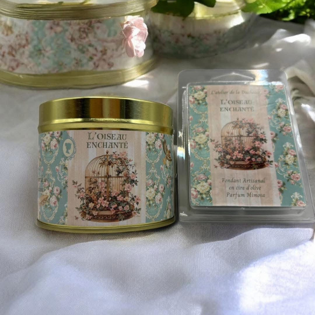 Coffret L’oiseau enchanté
