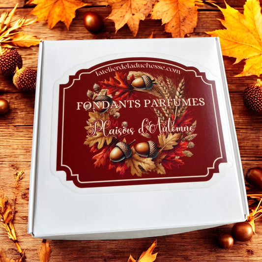 Boîte fondants Les Plaisirs d’Automne avec label de parfum automnal et décoration de feuilles.